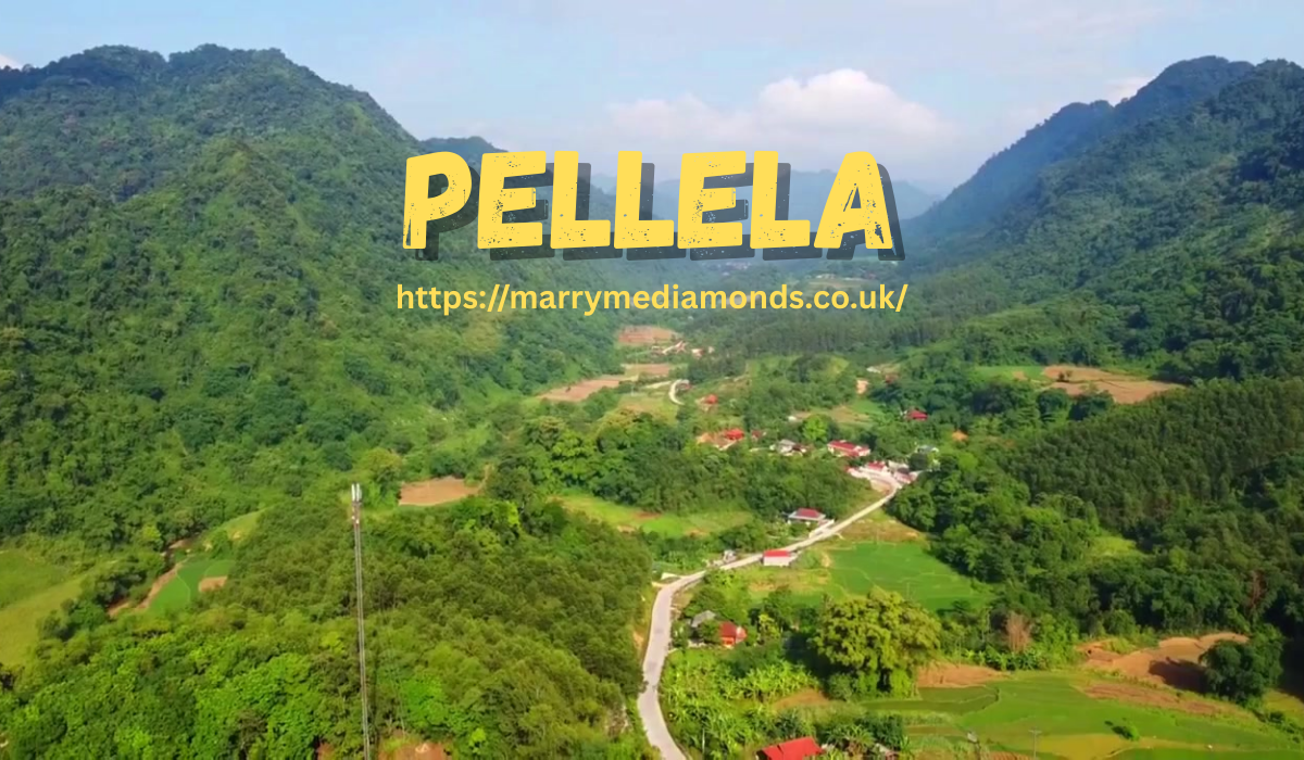 Pellela